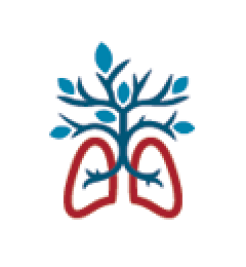 The Lung Association