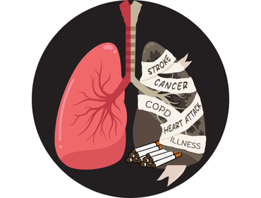 Lungs Healthy on one side and sick on the other from tobacco 