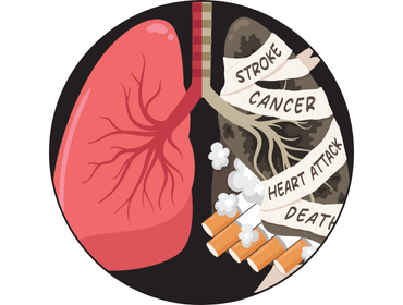 Lungs Healthy on one side and sick on the other from tobacco 