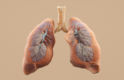 Health Effects