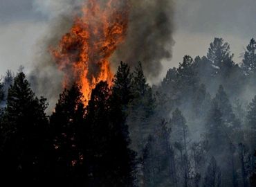 Wildfires & Your Lung Health