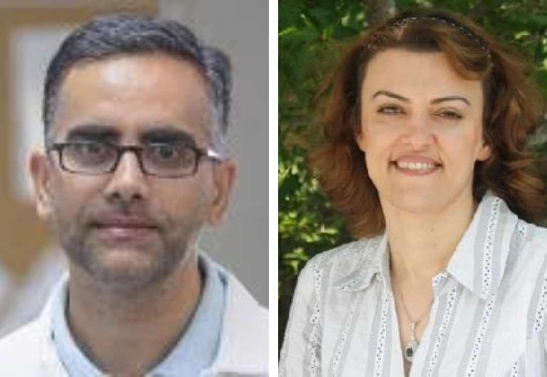 Drs. Aneesh Thakur and Azita Haddadi