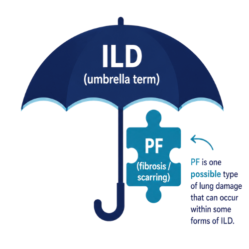ILD/PF Umbrella