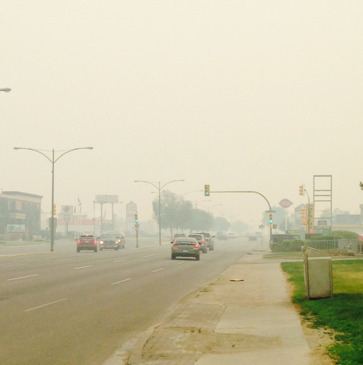 Smoky -8th street